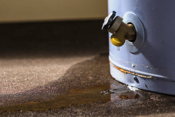  Euless, TX Water damage restoration Pros