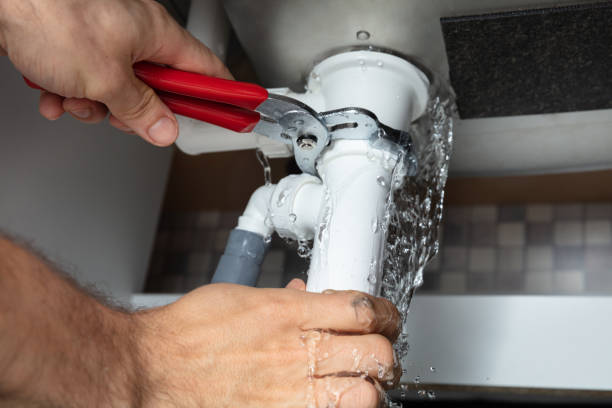 Best Mold removal after water damage  in Euless, TX