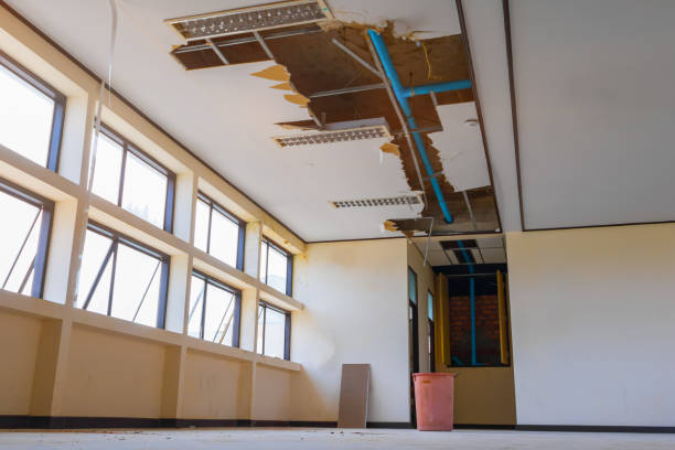 Best Basement water damage restoration  in Euless, TX