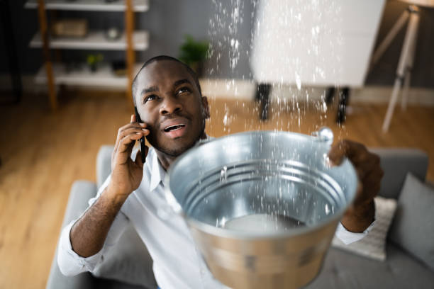 Best Flood restoration services  in Euless, TX