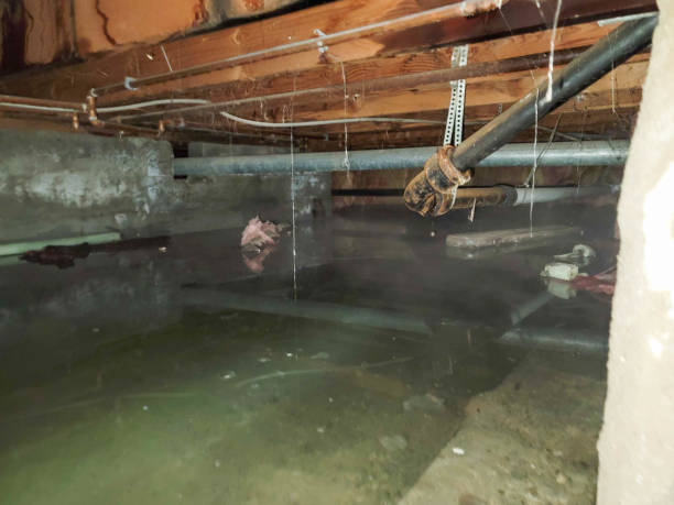 Sewage cleanup and water damage restoration in Euless, TX