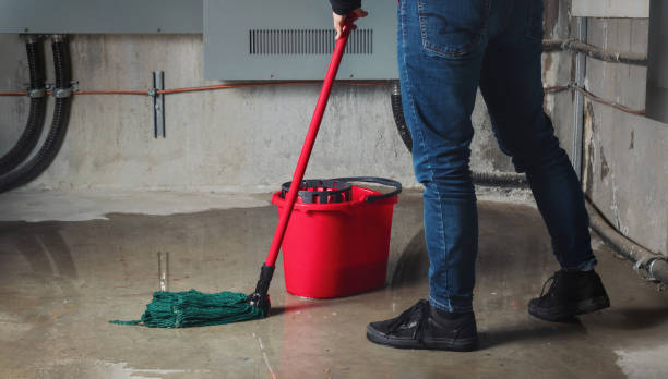 Best Water damage cleanup near me  in Euless, TX