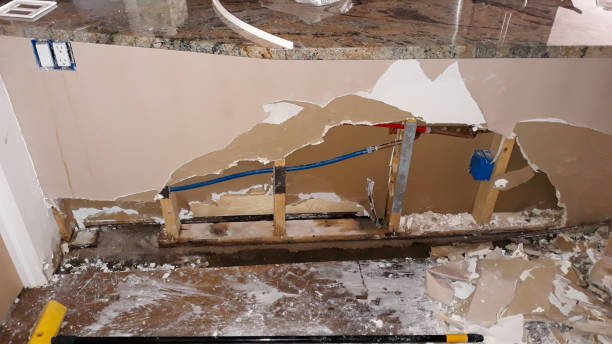 Best Flood damage cleanup  in Euless, TX
