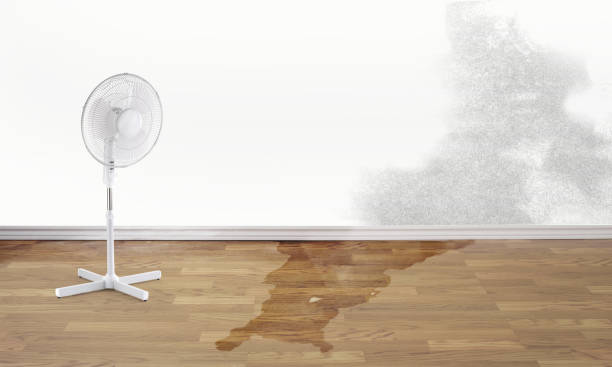 Water damage restoration experts in Euless, TX