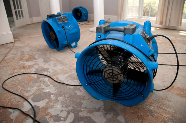 Best Local water damage restoration  in Euless, TX
