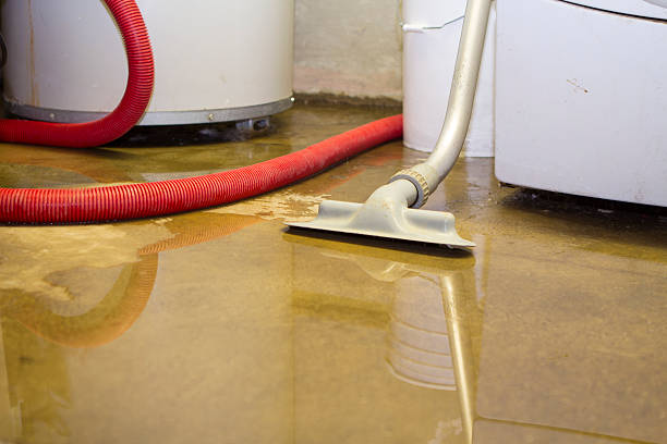Best Water damage contractors near me  in Euless, TX