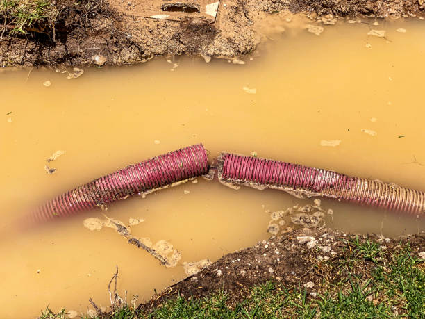 Best Water damage restoration near me  in Euless, TX